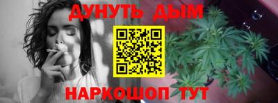 крисы Славянск-на-Кубани