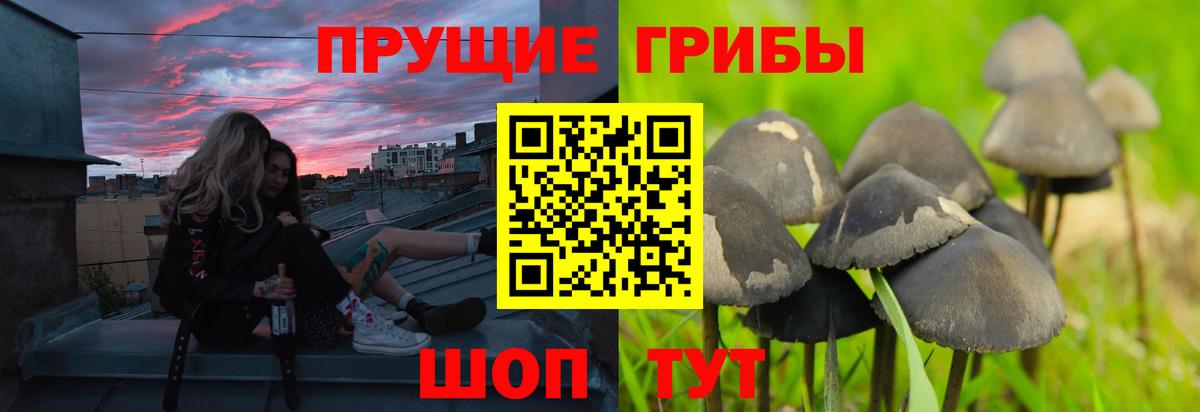Псилоцибиновые грибы MAGIC MUSHROOMS  Вход с VPN  Галлюциногенные грибы ЛСД  Печора 