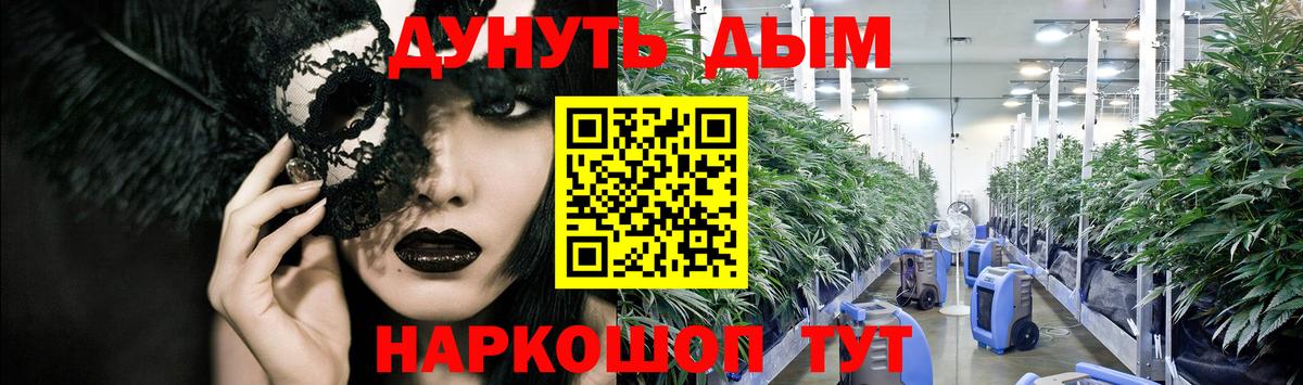 Каннабис OG Kush Печора